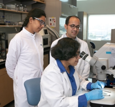 a group of people in lab coats looking through a microscope